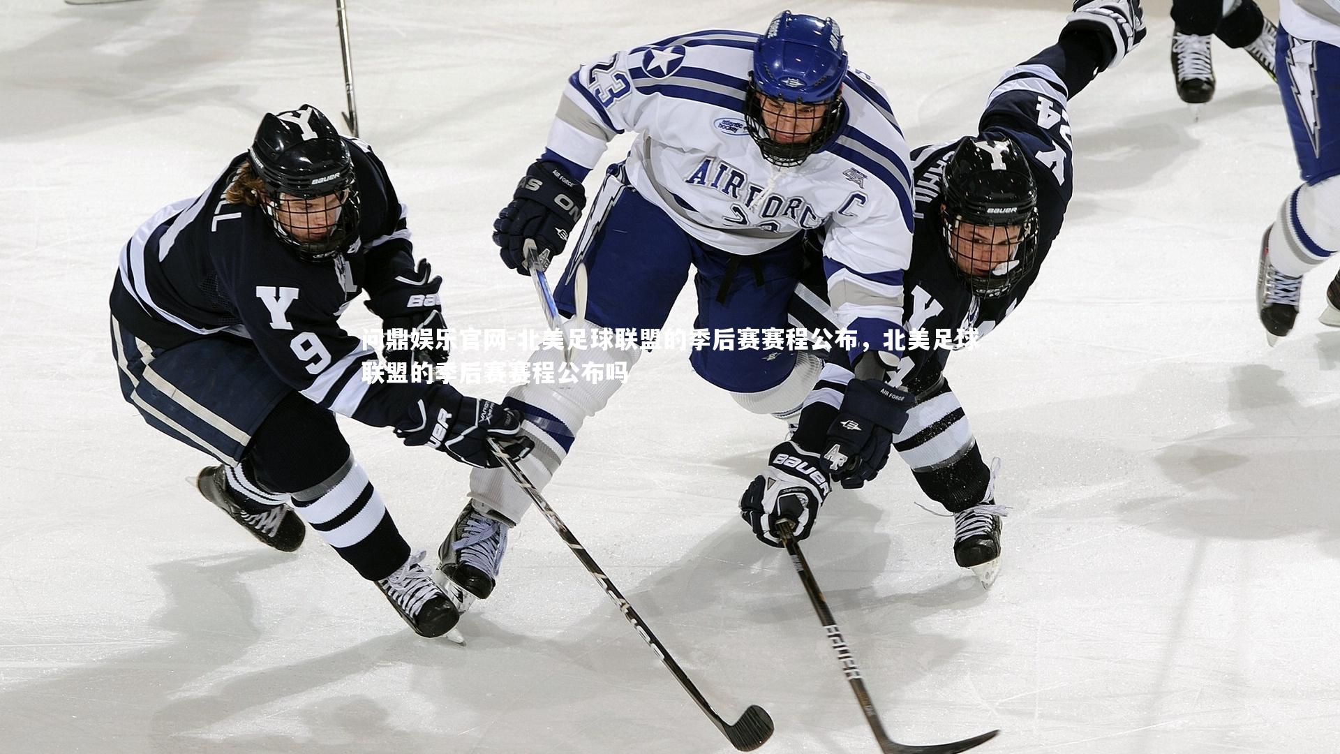 北美足球联盟的季后赛赛程公布，北美足球联盟的季后赛赛程公布吗